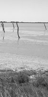 PIQUETSALLEMENADS image anecdote 5 - défense des plages