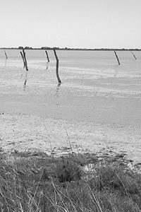 PIQUETSALLEMENADS image anecdote 5 - défense des plages